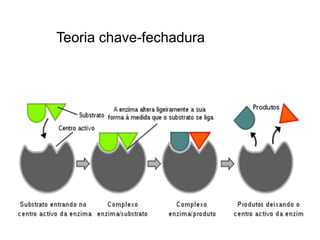  A ligação que une os aminoácidos para
formarem proteínas e denominada ligação
peptídica.
 