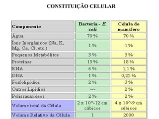 Teoria chave-fechadura
 