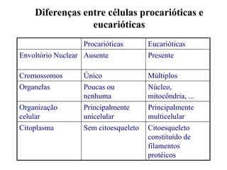 3 Etapas
 Iniciação: Porção menor do ribossomo
se associa ao RNAt e percorre o
RNAm até o códon AUG, unindo-se a
porção maior.
 Alongamento: O complexo percorre o
RNAm unindo os aminoácidos no sítio
P.
 Terminação: o complexo atinge o
códon de término, liberando o
 