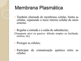Material Complementar
https://www.youtube.com/watch?v=rD9sDfvOxy8
 