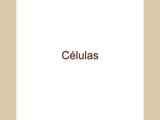 Células
 