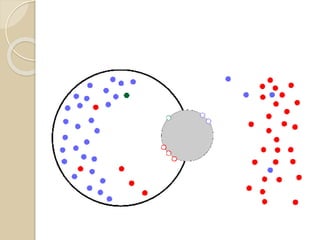 Célula Procariótica
 