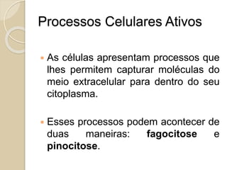  Para desempenhar suas diversas
funções, as células apresentam uma
estrutura básica formada por
citoplasma, membrana plasmática, e
núcleo.
 