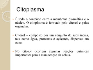 HIPOTONICO
HIPERTONICO
ISOTONICO
 