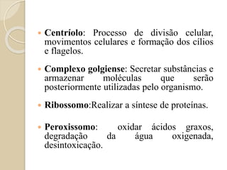 Bomba de NaK – T. Ativo
 