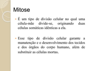 CÉLULA ANIMAL E CÉLULA
VEGETAL
“Todos os seres vivos são formados
por células, mas elas não são todas
iguais”.
As células animais e vegetais
apresentam algumas diferenças
estruturais:
 