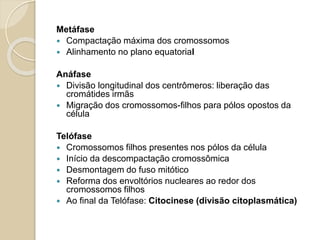 Núcleo
 O núcleo contém em seu interior
informações necessárias para o
funcionamento celular.
 Essas informações estão contidas em uma
molécula chamada ácido
desoxirribonucleico (DNA) e são
encaminhadas ao citoplasma por meio de
uma molécula sintetizada no núcleo
denominada ácido ribonucleico (RNA).
 