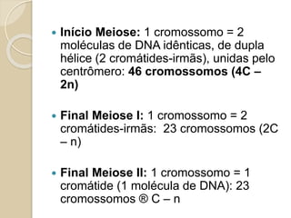 Metáfase
 Compactação máxima dos cromossomos
 Alinhamento no plano equatorial
Anáfase
 Divisão longitudinal dos centrômeros: liberação das
cromátides irmãs
 Migração dos cromossomos-filhos para pólos opostos da
célula
Telófase
 Cromossomos filhos presentes nos pólos da célula
 Início da descompactação cromossômica
 Desmontagem do fuso mitótico
 Reforma dos envoltórios nucleares ao redor dos
cromossomos filhos
 Ao final da Telófase: Citocinese (divisão citoplasmática)
 