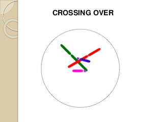 CROSSING OVER
 