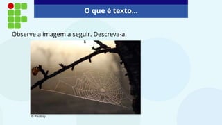 O que é texto...
Observe a imagem a seguir. Descreva-a.
© Pixabay
 