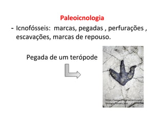 Paleoicnologia
- Icnofósseis: marcas, pegadas , perfurações ,
escavações, marcas de repouso.
Pegada de um terópode
https://www.preparaenem.com/
biologia/fosseis.htm
 