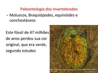 Paleontologia dos Invertebrados
- Moluscos, Braquiópodes, equinóides e
conchostáceos
Este fóssil de 47 milhões
de anos perdeu sua cor
original, que era verde,
segundo estudos
https://www.bbc.com/portuguese/noticias/2011/09/110929_besouro
_fossil_pai
 