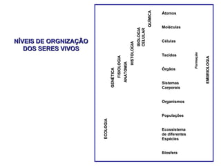 Átomos
Moléculas
Células
Tecidos
Órgãos
Sistemas
Corporais
Organismos
Populações
Ecossistema
de diferentes
Espécies
Biosfera
ECOLOGIA
GENÉTICA
FISIOLOGIA
HISTOLOGIA
ANATOMIA
BIOLOGIA
CELULAR
QUÍMICA
EMBRIOLOGIA
Formação
Átomos
Moléculas
Células
Tecidos
Órgãos
Sistemas
Corporais
Organismos
Populações
Ecossistema
de diferentes
Espécies
Biosfera
ECOLOGIA
GENÉTICA
FISIOLOGIA
HISTOLOGIA
ANATOMIA
BIOLOGIA
CELULAR
QUÍMICA
EMBRIOLOGIA
Formação
NÍVEIS DE ORGNIZAÇÃONÍVEIS DE ORGNIZAÇÃO
DOS SERES VIVOSDOS SERES VIVOS
 