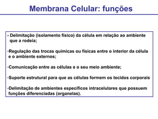 Membrana Celular: funções
- Delimitação (isolamento físico) da célula em relação ao ambiente
que a rodeia;
-Regulação das trocas químicas ou físicas entre o interior da célula
e o ambiente externos;
-Comunicação entre as células e o seu meio ambiente;
-Suporte estrutural para que as células formem os tecidos corporais
-Delimitação de ambientes específicos intracelulares que possuem
funções diferenciadas (organelas).
 