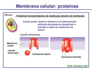 Membrana celular: proteínas
 
