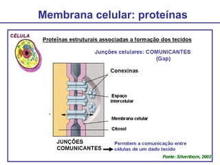 Membrana celular: proteínas
 