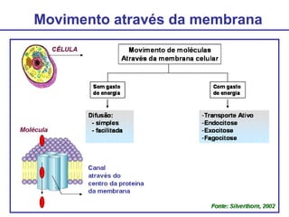 Movimento através da membrana
 