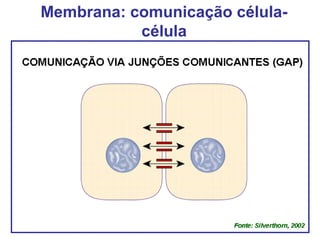 Membrana: comunicação célula-
célula
 