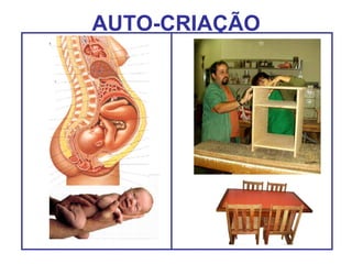 AUTO-CRIAÇÃO
 
