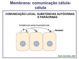 Membrana: comunicação célula-
célula
 