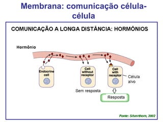 Membrana: comunicação célula-
célula
 