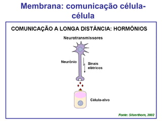 Membrana: comunicação célula-
célula
 