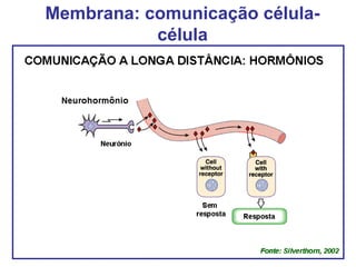 Membrana: comunicação célula-
célula
 