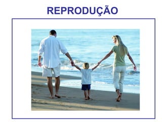 REPRODUÇÃO
 