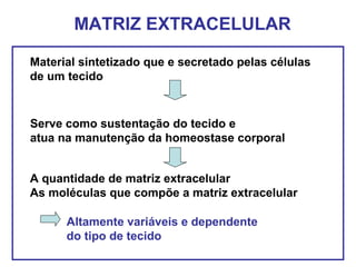 MATRIZ EXTRACELULAR
Material sintetizado que e secretado pelas células
de um tecido
A quantidade de matriz extracelular
As moléculas que compõe a matriz extracelular
Serve como sustentação do tecido e
atua na manutenção da homeostase corporal
Altamente variáveis e dependente
do tipo de tecido
 