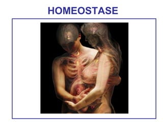 HOMEOSTASE
 