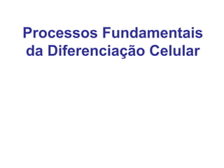 Processos Fundamentais
da Diferenciação Celular
 