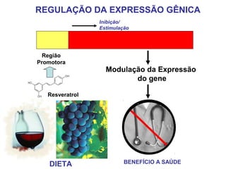REGULAÇÃO DA EXPRESSÃO GÊNICA
Região
Promotora
Modulação da Expressão
do gene
Inibição/
Estimulação
Resveratrol
DIETA BENEFÍCIO A SAÚDE
 