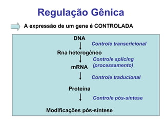 Regulação Gênica
A expressão de um gene é CONTROLADA
DNA
Rna heterogêneo
mRNA
Proteína
Modificações pós-síntese
Controle transcricional
Controle splicing
(processamento)
Controle traducional
Controle pós-síntese
 