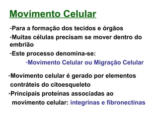 Movimento Celular
-Para a formação dos tecidos e órgãos
-Muitas células precisam se mover dentro do
embrião
-Este processo denomina-se:
-Movimento Celular ou Migração Celular
-Movimento celular é gerado por elementos
contráteis do citoesqueleto
-Principais proteínas associadas ao
movimento celular: integrinas e fibronectinas
 