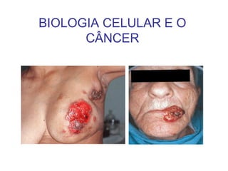 BIOLOGIA CELULAR E O
CÂNCER
 