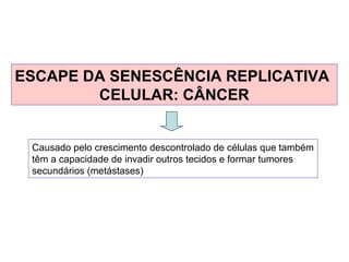 ESCAPE DA SENESCÊNCIA REPLICATIVA
CELULAR: CÂNCER
Causado pelo crescimento descontrolado de células que também
têm a capacidade de invadir outros tecidos e formar tumores
secundários (metástases)
 