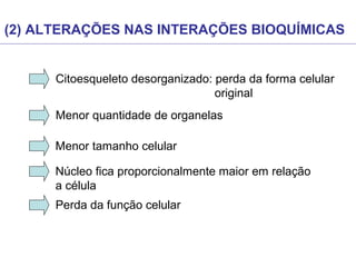 (2) ALTERAÇÕES NAS INTERAÇÕES BIOQUÍMICAS
Citoesqueleto desorganizado: perda da forma celular
original
Menor quantidade de organelas
Menor tamanho celular
Perda da função celular
Núcleo fica proporcionalmente maior em relação
a célula
 