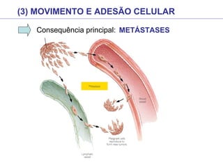 (3) MOVIMENTO E ADESÃO CELULAR
Consequência principal: METÁSTASES
 