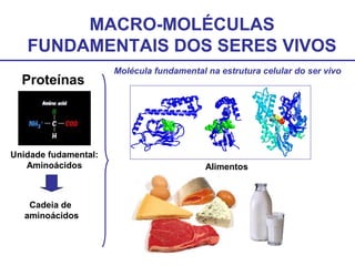 MACRO-MOLÉCULAS
FUNDAMENTAIS DOS SERES VIVOS
Proteínas
Unidade fudamental:
Aminoácidos
Cadeia de
aminoácidos
Alimentos
Molécula fundamental na estrutura celular do ser vivo
 