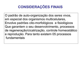CONSIDERAÇÕES FINAIS
O padrão de auto-organização dos seres vivos,
em especial dos organismos multicelulares,
Envolve padrões cito-morfológicos e fisiológicos
Que garantem o seu desenvolvimento, processos
de regeneração/cicatrização, controle homeostático
e reprodução. Para tanto existem 05 processos
fundamentais
 
