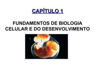 CAPÍTULO 1CAPÍTULO 1
FUNDAMENTOS DE BIOLOGIA
CELULAR E DO DESENVOLVIMENTO
 