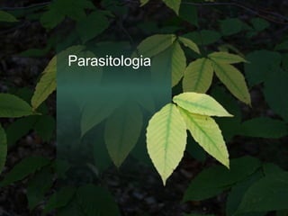 Parasitologia
 