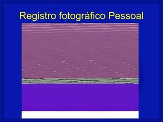 Registro fotográfico Pessoal
 
