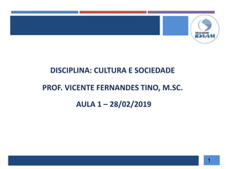 DISCIPLINA: CULTURA E SOCIEDADE
INICIO
PROF. VICENTE FERNANDES TINO, M.SC.
AULA 1 – 28/02/2019
1
 