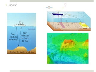  Sonar
 