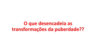 O que desencadeia as
transformações da puberdade??
 