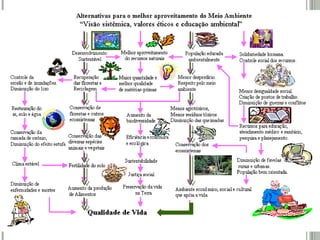Aula 1 desenvolvimento sustentável
