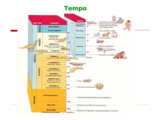 Tempo
 