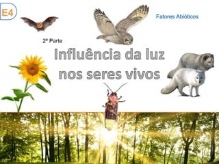 Fatores Abióticos
2ª Parte
E4
 