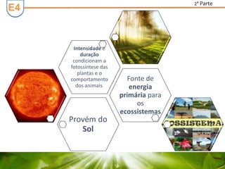 E3E4
2ª Parte
Provém do
Sol
Fonte de
energia
primária para
os
ecossistemas
Intensidade e
duração
condicionam a
fotossíntese das
plantas e o
comportamento
dos animais.
 